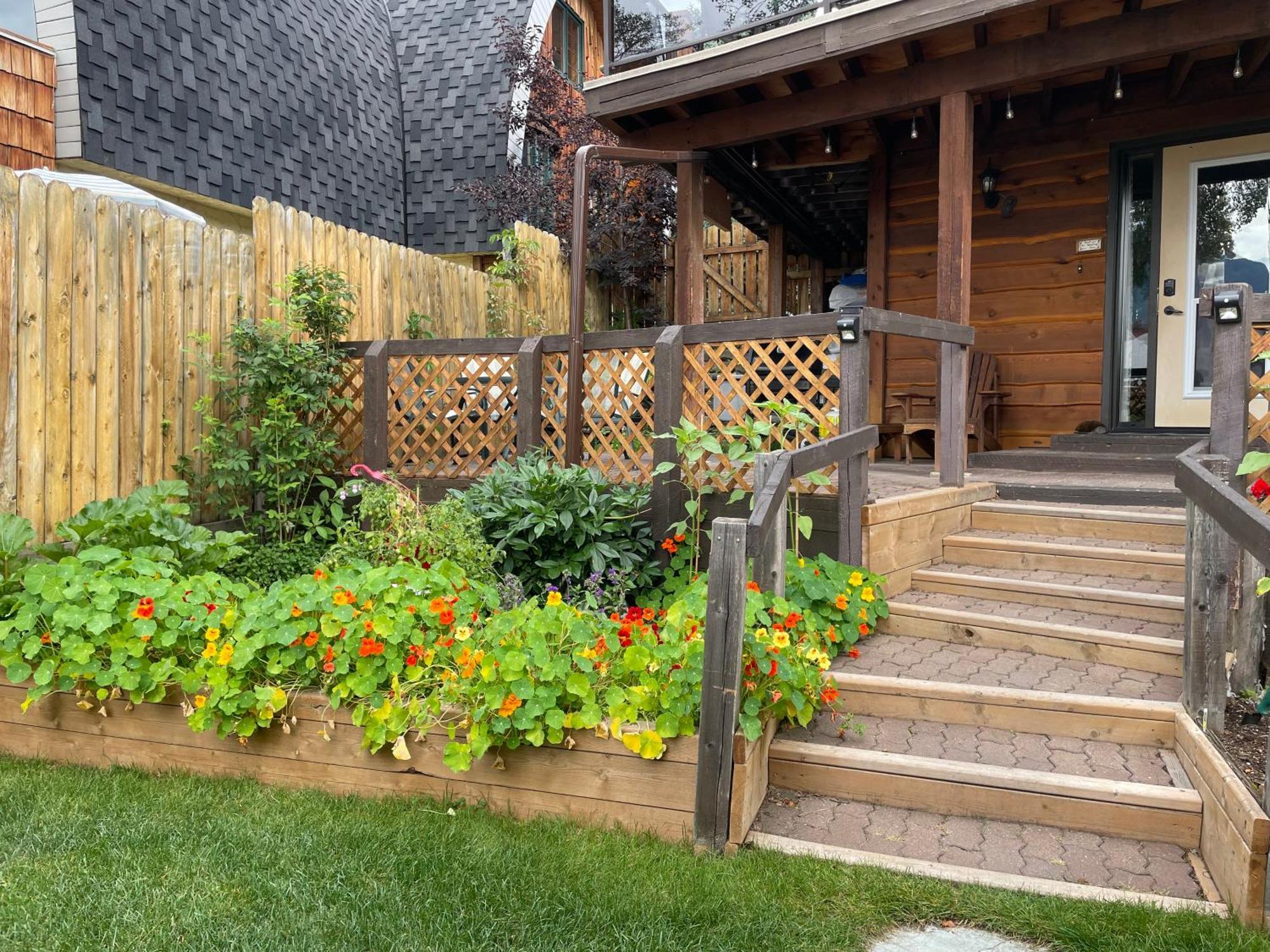 Cedar House 호텔 재스퍼 외부 사진